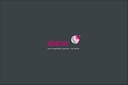 Alacer Software logo