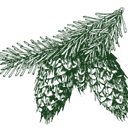 Albert Haller Foundation logo