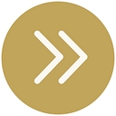 Favicon of Advanced Leadership Concepts