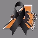 City of Aledo logo