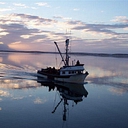 Borough of Aleutians East logo