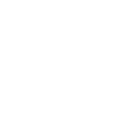 AlignLife - Chiropractic & Natural Health Centers logo