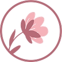 alittlelacey.com.au
