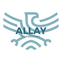 Favicon of Allay Consulting LLC