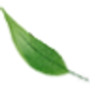 Allcare Landscape logo