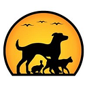 PetDocks Veterinary Hospital logo