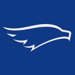 avatar logo
