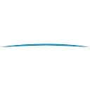Allegiant Staffing