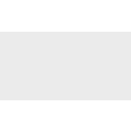 AllFemme logo
