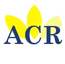 Alliance Court Reporting logo