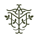 allmoringatree logo