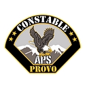 All Pro Security LLC