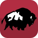 Allstar Industries Inc. logo