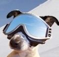 alltomskidresor.se logo