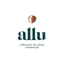 Favicon of Allu