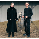 Alpaca