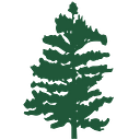 Alpha Home Health and Hospice logo