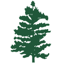 Alpha Home Health and Hospice logo