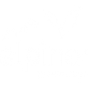 Alpine Brokerage Services Llc logo