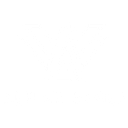Alpine Eagle logo