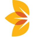 The Als Association Central & Southern Ohio Chapter logo