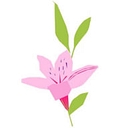 Alstroemeria Select logo