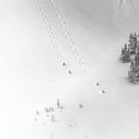 Alta