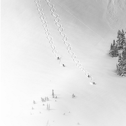 Alta Ski Area logo