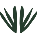 Favicon of Alta Vista Tours