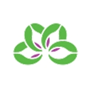 Alternatives Federal Credit Union logo