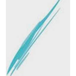 ALTIUS CONSULTANTS LTD logo