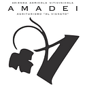 amadeivini.it logo