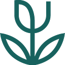 Amaly logo