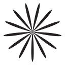 Amant Foundation USA logo