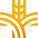 AmberMed