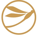 Amberwing Organics logo