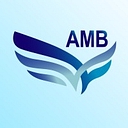 AMB Group logo