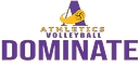 Ambrose Athletics Volleyball logo
