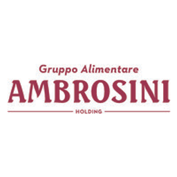 ambrosiniholding.com