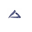 Amcs Global logo