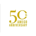 AMEGO INC