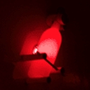 Amelie Wine Bar DC logo