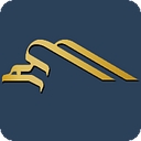 American Accessories International, Llc logo