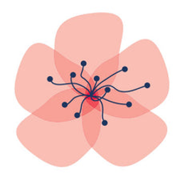Americanblossomlinens logo