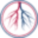 American Endovascular & Amputation Prevention logo