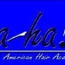 americanhairacademy.com/ logo