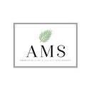 American Med Systems logo