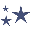 American Principles Project logo