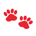 American Veterinary Group logo