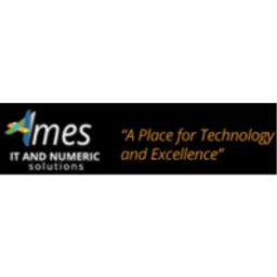 Ames IT and Numeric Solutions logo